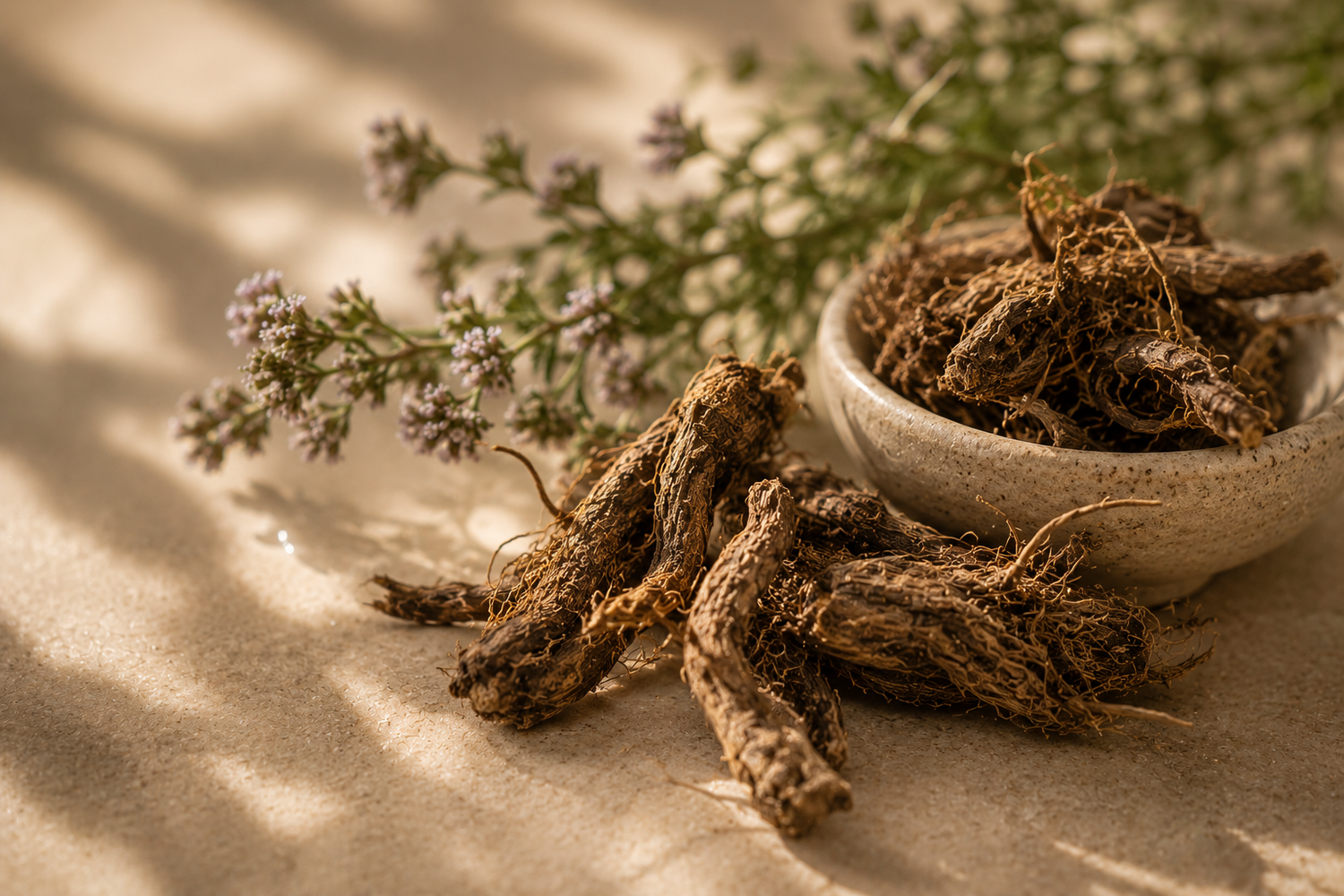 Jatamansi Ayurvedic ingredient for scalp wellness and hair care